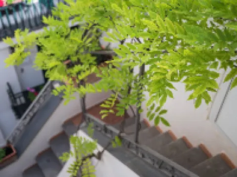 Hotel Antica Repubblica in Amalfi Center at 100mt from the Sea Hotels in Amalfi