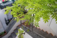 Hotel "Antica Repubblica" in centro storico a 100mt dal mare