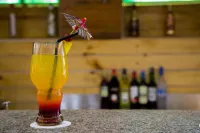 Turtle Beach Resort - Morjim - bar