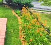 Lyndon House Bed & Breakfast Hotels in Lexington