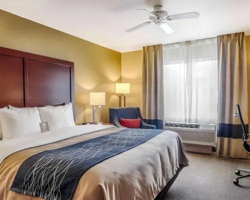 Comfort Inn & Suites Grafton-Cedarburg Hotels in Cedarburg