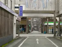 Business Hotel Shuttle