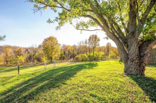 كوزي هوم أواي فروم هوم!