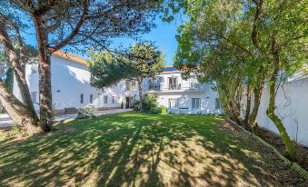 Silver Seahorse Garden Retreat