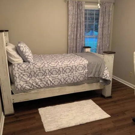 The Owl and Magnolia