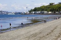 Popular Alki Beach Seattle Vacation House, Walk to Restaurants - Beach