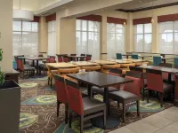 힐튼 가든 인 오데사 엑터 카운티 호텔