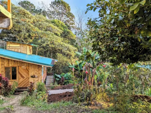 Cabin next to the forest with mountain view 帕拉伊索酒店