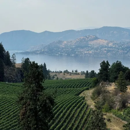 Cozy 2-bedroom apartment with WiFi, AC in amazing Penticton