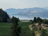Cozy 2-bedroom apartment with WiFi, AC in amazing Penticton