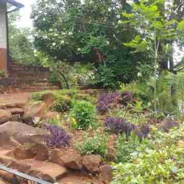 Gondo Hill Cottage Upmarket Borrowdale Tranquile, Mature Garden and Fresh Air. Hotel Exterior