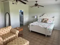 Charming 4-bedroom house in lovely Blanco with stunning outdoor spaces!