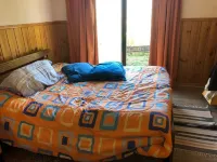 Connect with the Chilean native forest