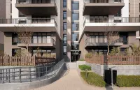 在Cairo Festival City的鳥巢