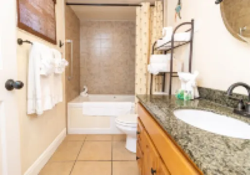 Dunedin Resort with 2 Pools, Hot Tub, Tiki Bar & Restaurant. Book Now !