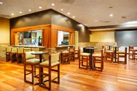 Holiday Inn JOHNSON CITY by IHG - bar