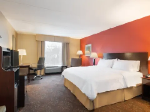 Holiday Inn 挪利其 諾威奇酒店