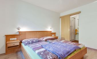 Apartment in Mittersill Near Kitzbuhel Ski Area