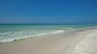 Palms at Seagrove - Ocean View