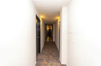 Hotel Bossanova - Wifi