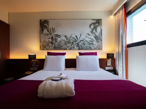 佩皮尼揚中心美居酒店