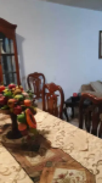 อโลฆามิเอ็นโต โอลซี