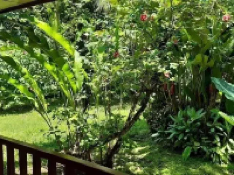 Cabinas Algebra Hotels in Cahuita