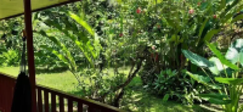 Cabinas Algebra โรงแรมใน