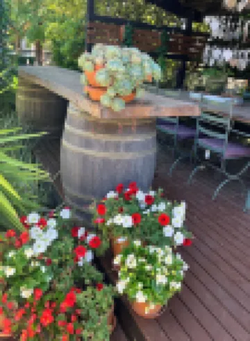 哈伍德梅普爾斯民宿