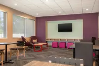 希爾頓 Tru 加納諾克，安大略