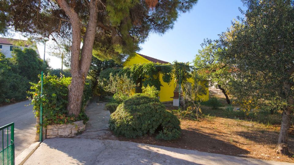 House Bojan