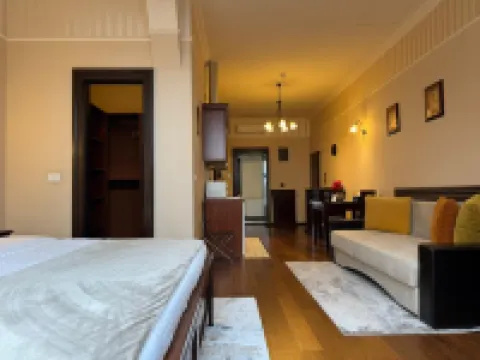 ホテル イオセフィン レジデンス のホテル