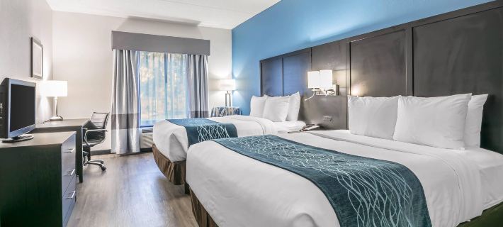 Comfort Inn University Hotels in Gainesville