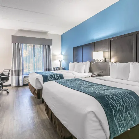 Comfort Inn University