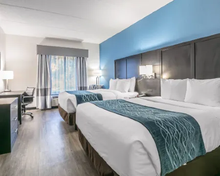 Comfort Inn University Hotels in Gainesville