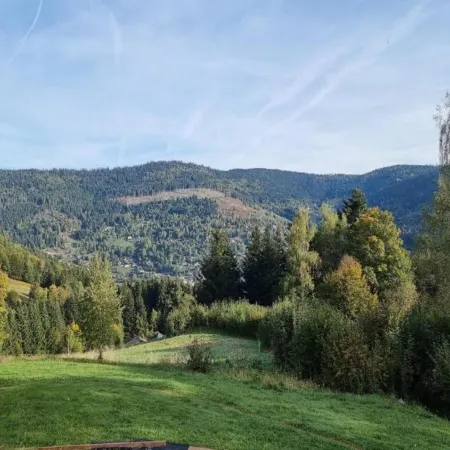 Chalet in Saulxures Near Ski Resorts