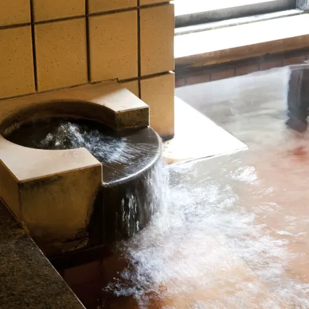 Kanazawa Hakuchoro Hotel Sanraku -Natural Hot Spring-