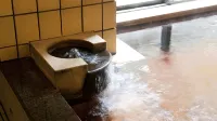 金澤白鳥路山樂飯店 - 溫泉