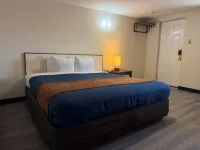 بونكا موتل