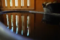 Kaze no Mori - Hot Springs