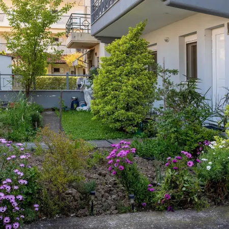 Zant House Trikala Town