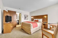 Motel Adam - parking