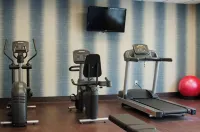 Holiday Inn Express & Suites Norwood-Boston Area by IHG - Gym