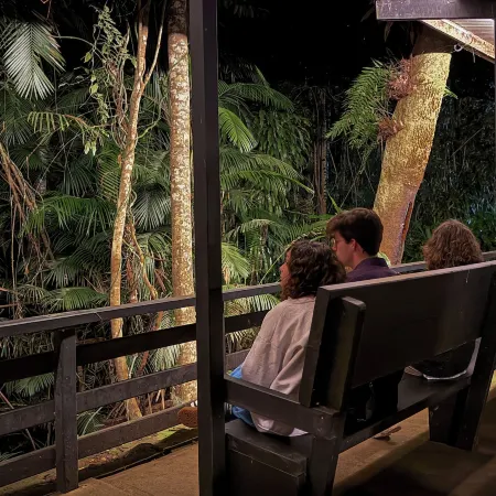Chambers Wildlife Rainforest Lodges Ξενοδοχεία στην πόλη Malanda