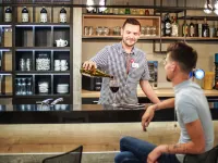 Ibis Tours Centre Giraudeau - bar