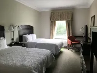 Hampton Inn Vidalia - Kuntosalit