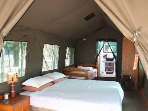 Warthogs Safari Camp