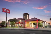 Red Roof Inn Dumas Hotels near Dumas Aquatic Park