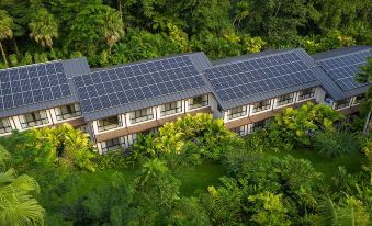 aerial view of a solar - panel - covered building surrounded by lush greenery and trees , providing renewable energy at Tabacón Thermal Resort & Spa