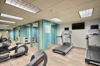 智選假日套房飯店密爾沃基機場 - 健身房